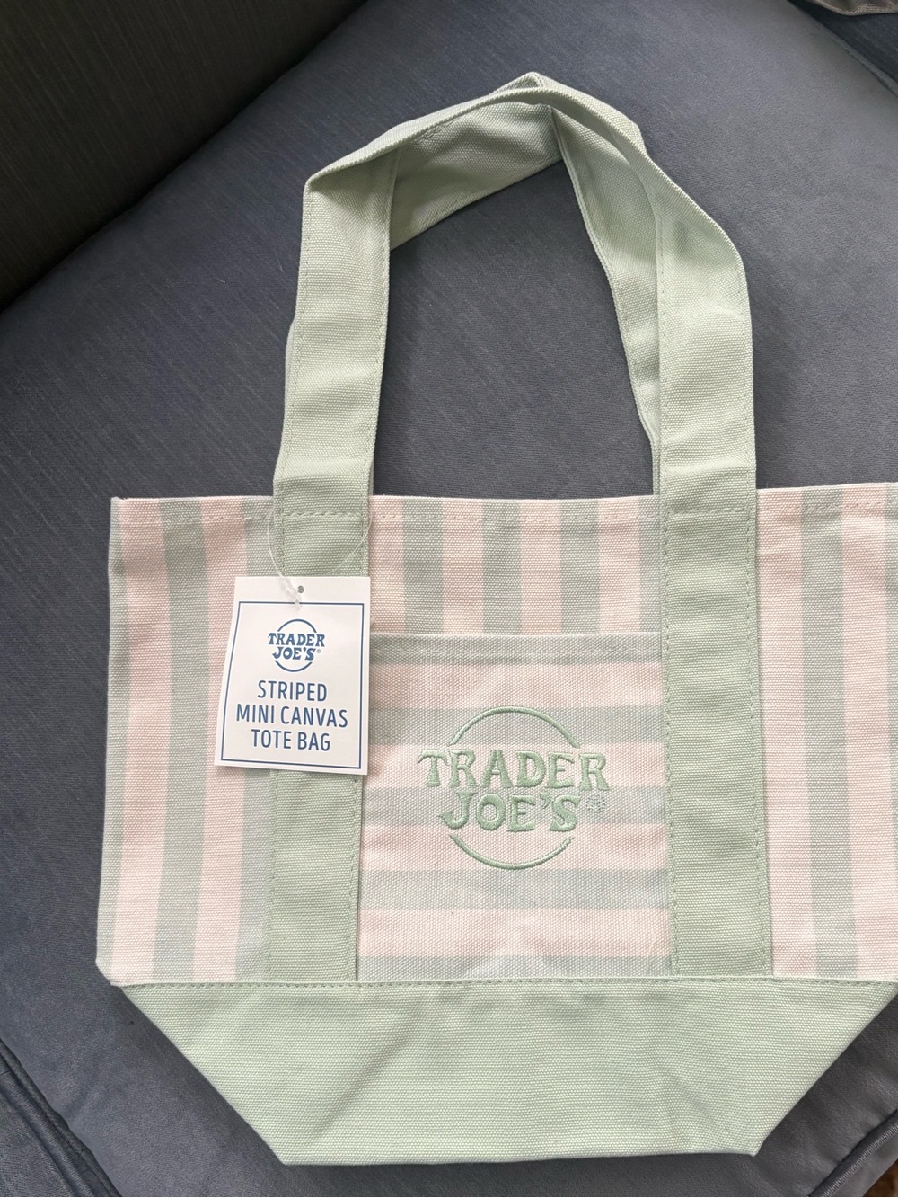 Trader Joe's Striped Mini Canvas Tote Bag in Mint. NWT